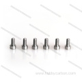 Hot Sale Customized Titanium Screws With High Quality